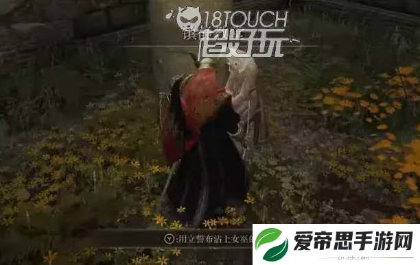艾尔登法环白面具支线任务流程详解