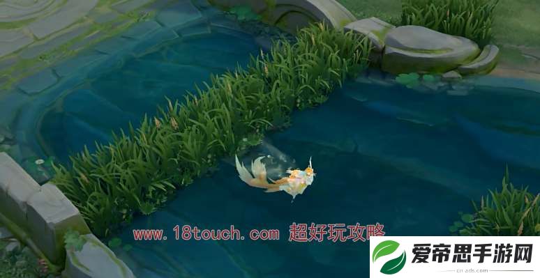 王者荣耀朵莉亚伴生皮金色潮汐多少钱