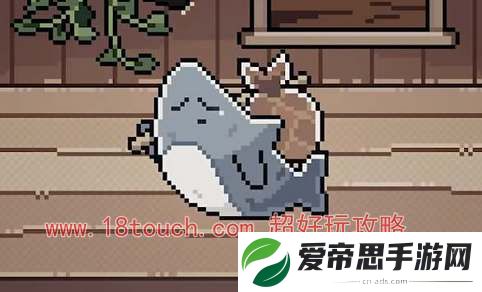 我的小鲨鱼游戏彩蛋汇总