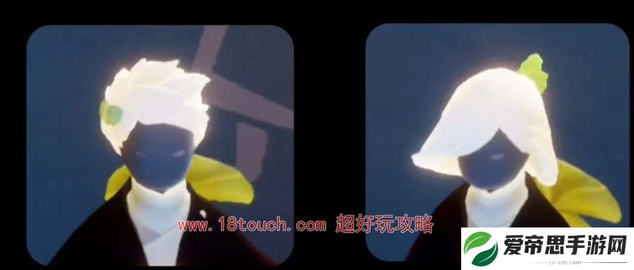 光遇2024花憩节新增物品一览