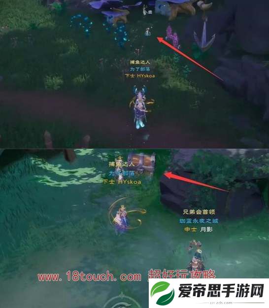 塔瑞斯世界迷雾森林宝箱位置一览