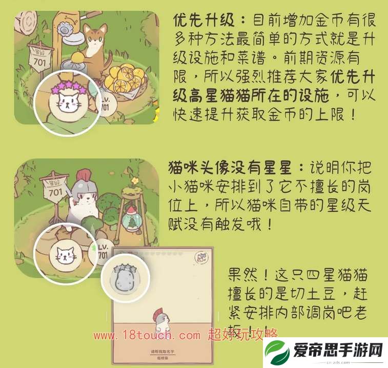 猫咪和汤设施升级顺序推荐