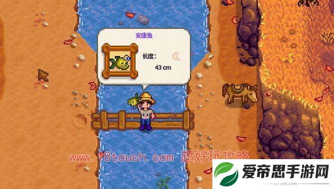 星露谷物语大眼鱼钓鱼时间地点