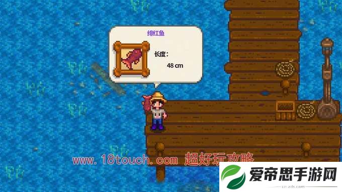 星露谷物语大眼鱼钓鱼时间地点