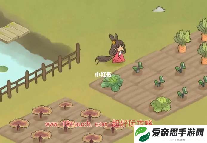 仙山小农岛屿类型一览