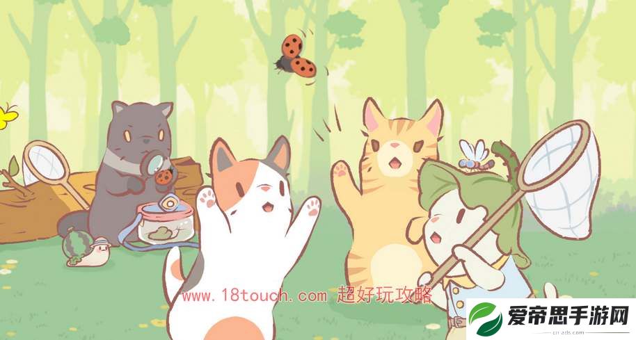 猫咪和汤设施升级顺序推荐