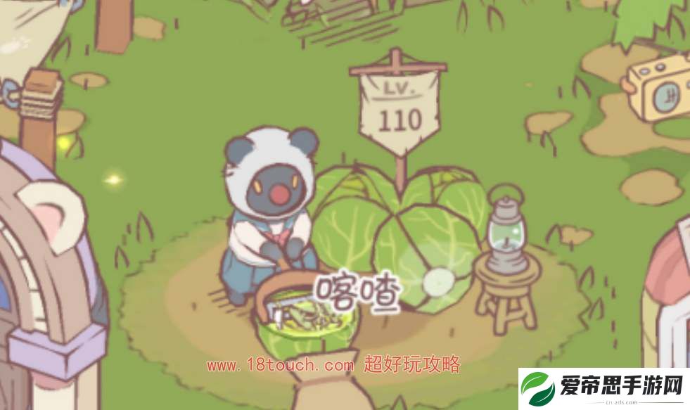 猫咪和汤内测奖励如何领取