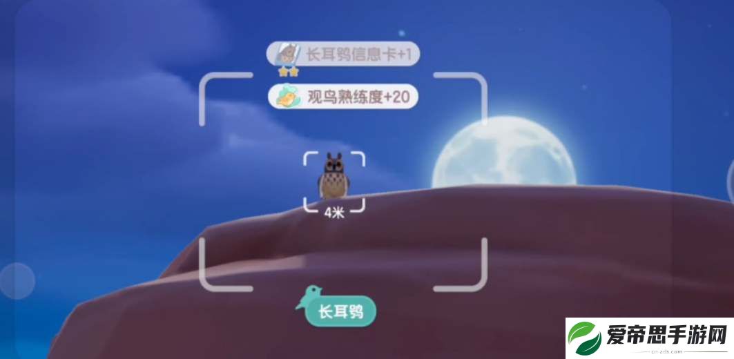 心动小镇观鸟位置攻略大全