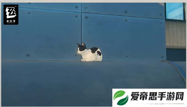 绝区零奶盖猫咪位置攻略