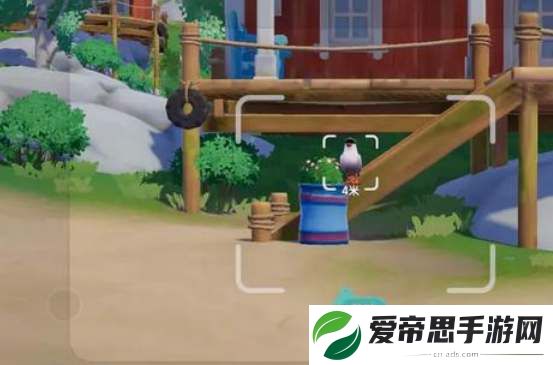 心动小镇海鸥观鸟位置攻略